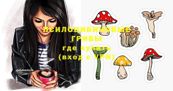 мдпв Нефтекумск