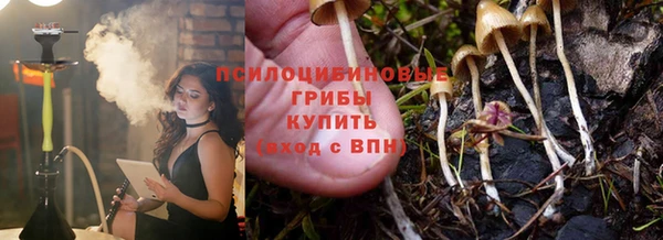 мдпв Нефтекумск